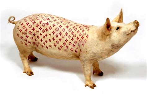 cochon tatoué louis vuitton|Cochons tatoués — Wikipédia.